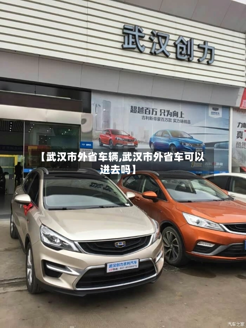 【武汉市外省车辆,武汉市外省车可以进去吗】