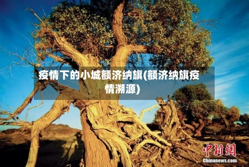 疫情下的小城额济纳旗(额济纳旗疫情溯源)